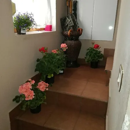 El Mirador 2 Ferienhaus *