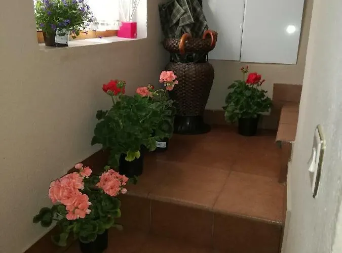 El Mirador 2 Ferienhaus *